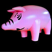 Inflatable~l;sky~l;pig