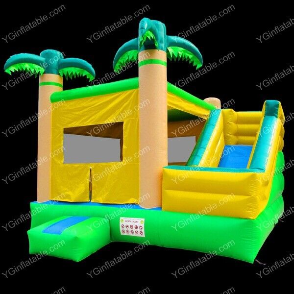 Coco Water Slide Bounce HouseYGIP-17