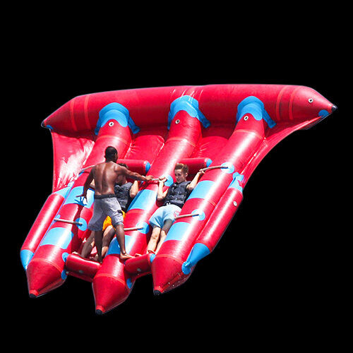 Quality Inflatable Inflatable Fly FishYGIP-17