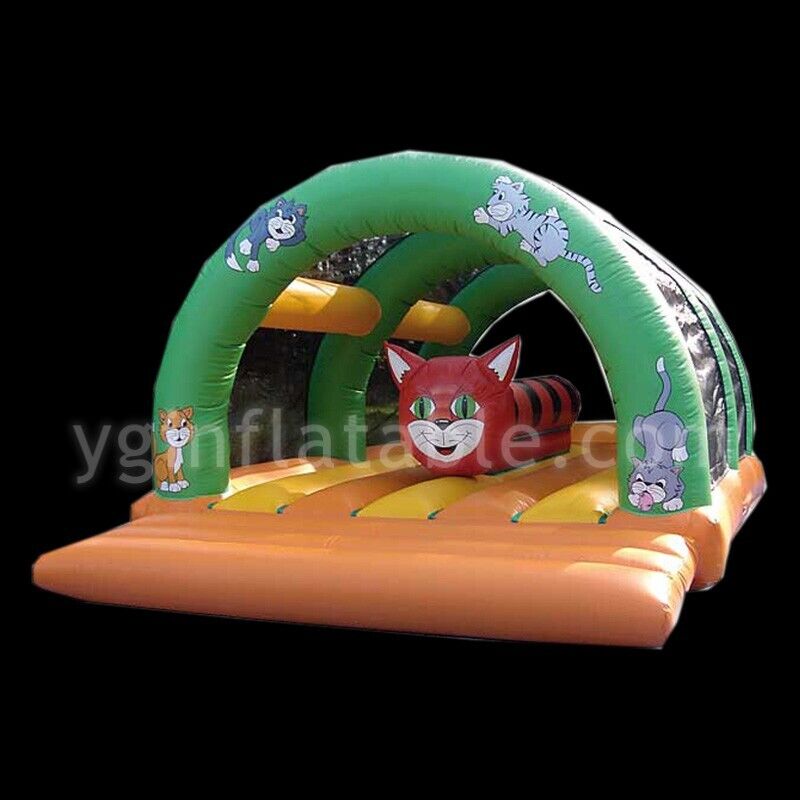 Bounce House PartyYGIP-17