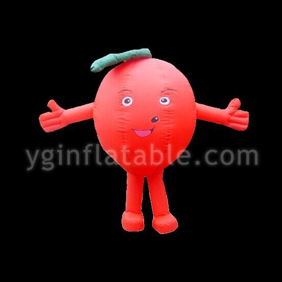 inflatable ballYGIP-17