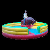 spider obstacle course