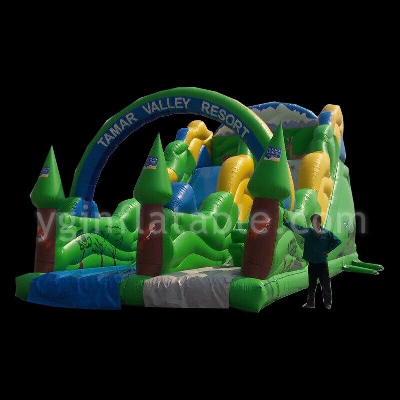 Backyard inflatable water slidesYGIP-17