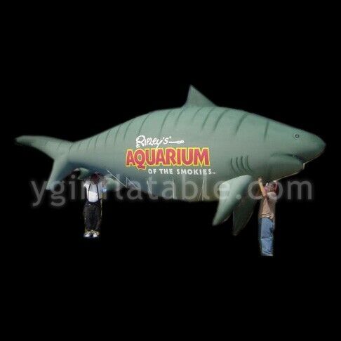 foil balloonsYGIP-17